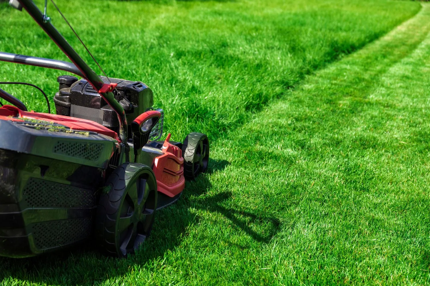 A mower creating a clean pass through thick green grass.