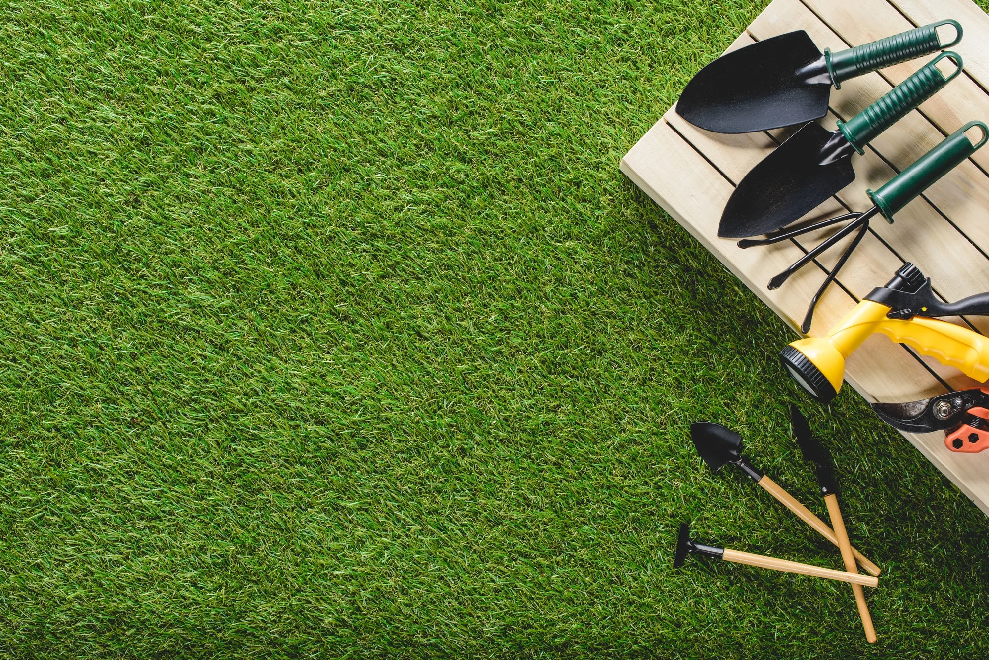 Lawn and garden tools arranged across healthy turf.