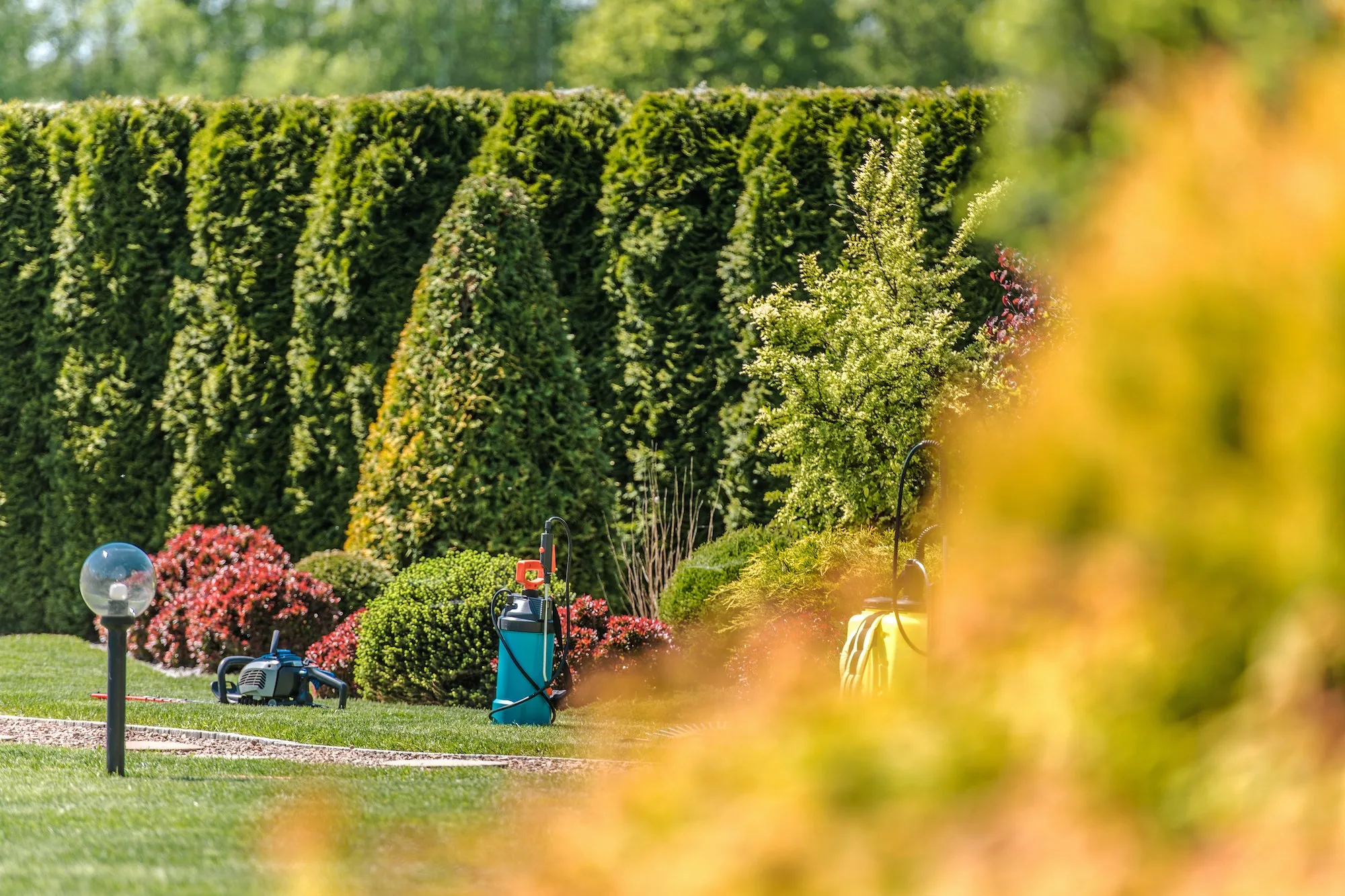 Lawn care equipment positioned beside a healthy residential lawn.